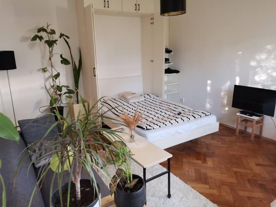 Cozy Studio In The City Centre Near Train Station Μπρατισλάβα Εξωτερικό φωτογραφία