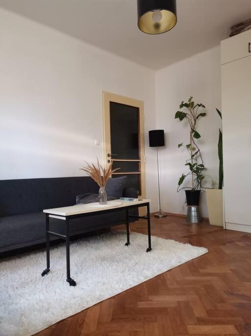 Cozy Studio In The City Centre Near Train Station Μπρατισλάβα Εξωτερικό φωτογραφία